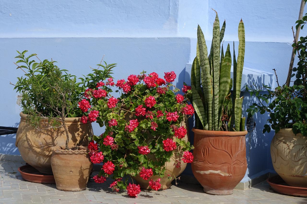 Dar Candal Asilah Exterior foto